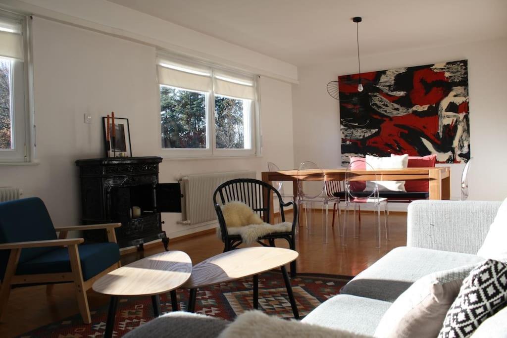 Superb Apt- Garden- 3 Parkings, Near Petite Venise ! Colmar Exterior foto