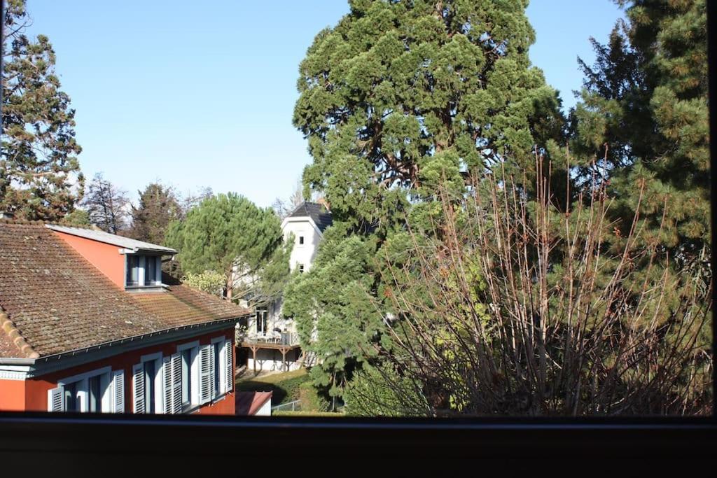 Superb Apt- Garden- 3 Parkings, Near Petite Venise ! Colmar Exterior foto