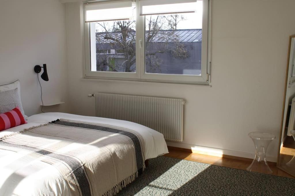 Superb Apt- Garden- 3 Parkings, Near Petite Venise ! Colmar Exterior foto